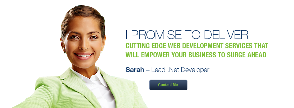 Business Analysis, Project Management, Web Application Development, Infrastructure Management and Business Intelligence