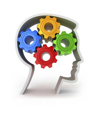 Zareq expertise