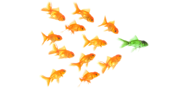 IT recruitment talent